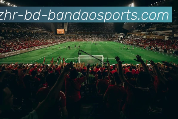 多媒体互动体验