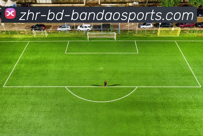 半岛体育APP 体育赛事宣传图